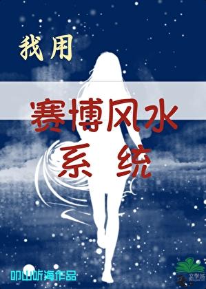 我用赛博风水系统