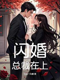 闪婚,总裁在上